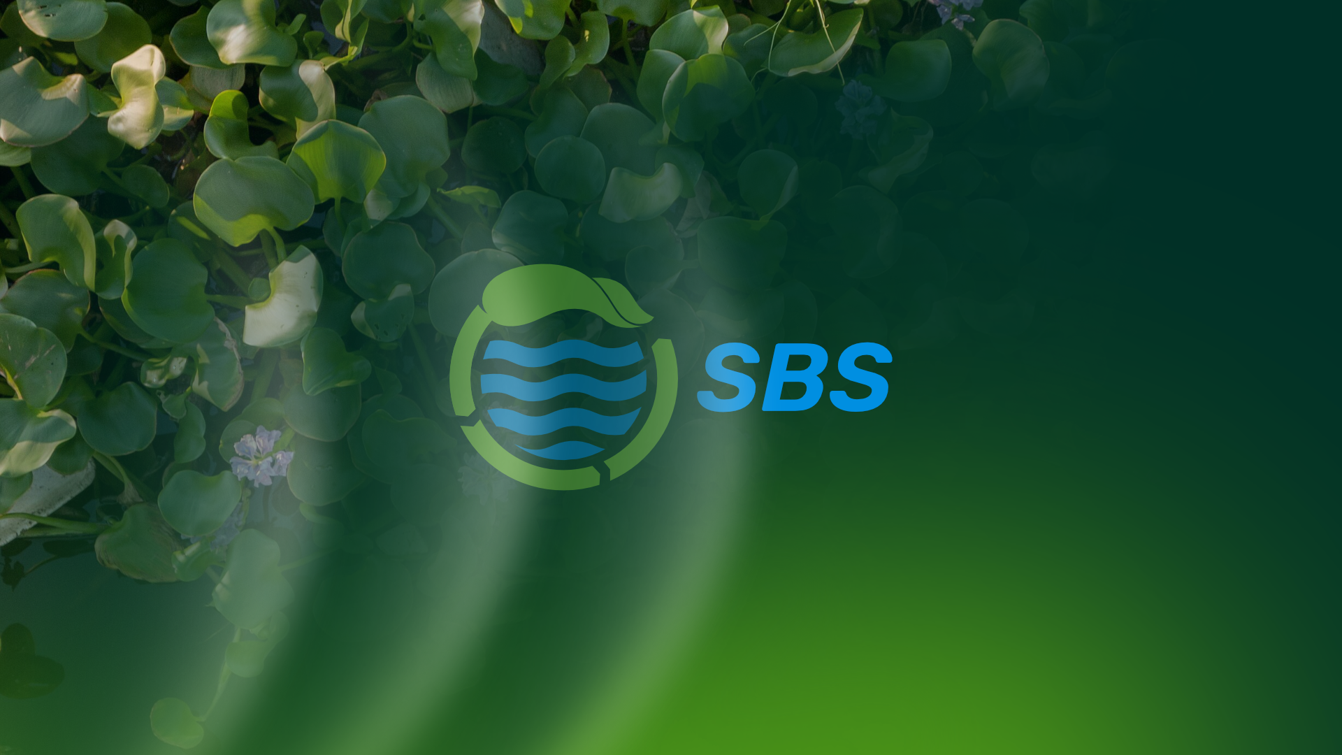 Projects cover projectos sbs